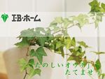 株式会社　アイ・ビー・ホーム