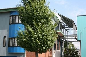 長岡市　太陽光発電工事