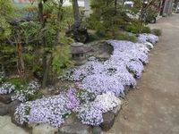 有限会社　瀬水建築